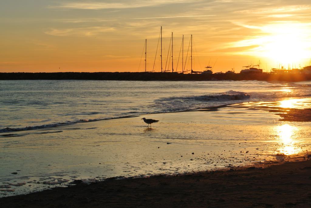 Hotel Les Palmiers En Camargue Saintes-Maries-de-la-Mer Ruang foto