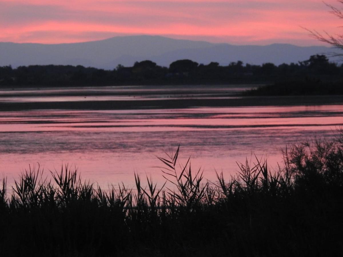 Hotel Les Palmiers En Camargue Saintes-Maries-de-la-Mer Bagian luar foto