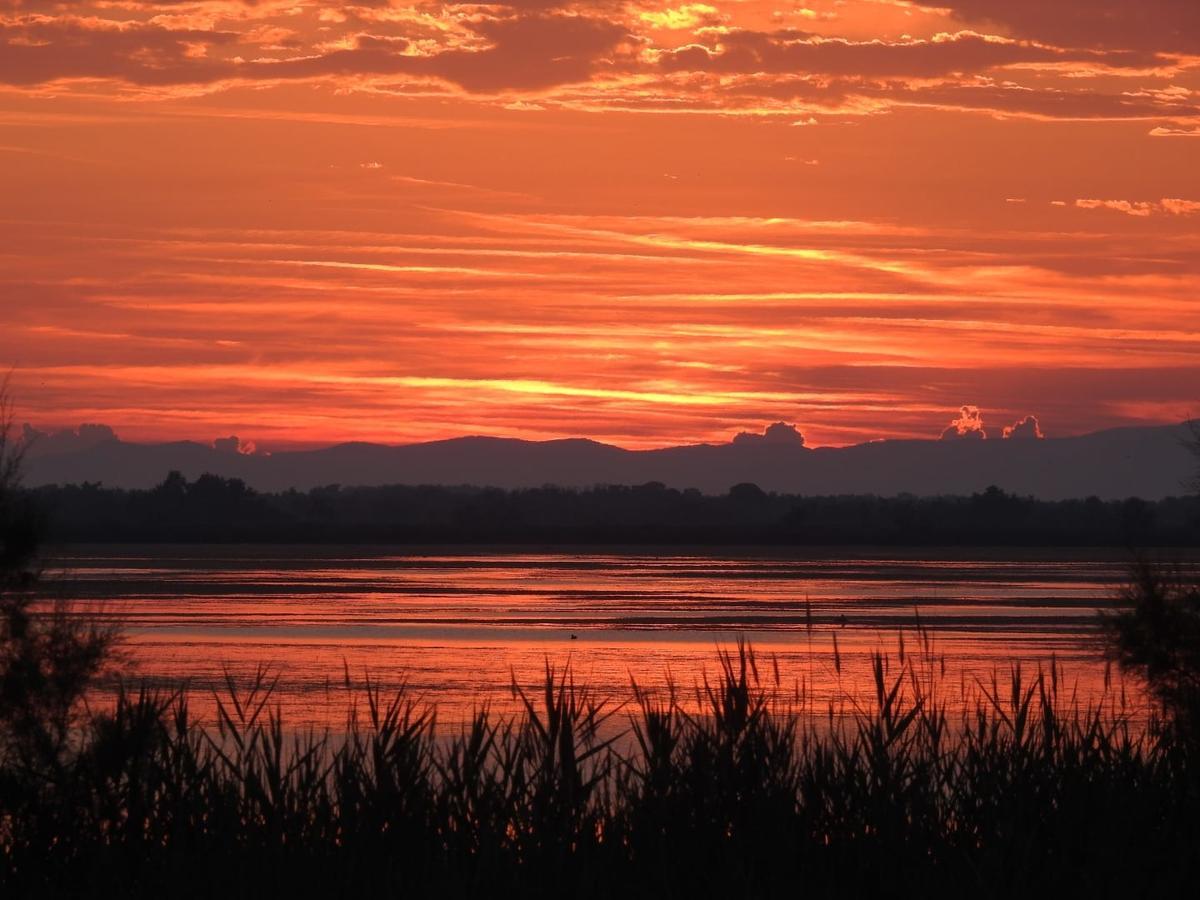 Hotel Les Palmiers En Camargue Saintes-Maries-de-la-Mer Bagian luar foto