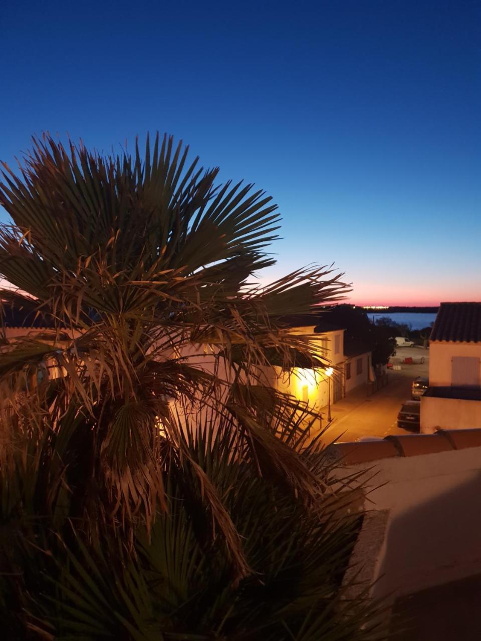 Hotel Les Palmiers En Camargue Saintes-Maries-de-la-Mer Bagian luar foto